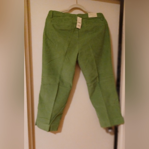🆕 NWT Eddie Bauer Vashion Fit Capri - Picture 4 of 6